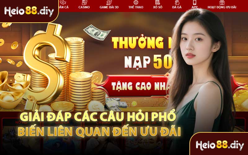 Giải Đáp Các Câu Hỏi Phổ Biến Liên Quan Đến Ưu Đãi