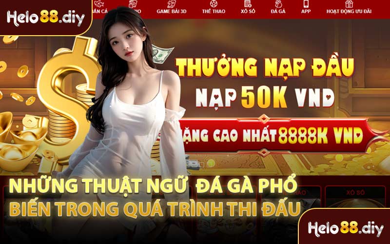 Những Thuật Ngữ  Đá Gà Phổ Biến Trong Quá Trình Thi Đấu
